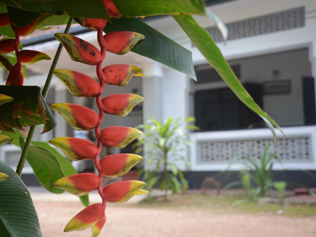 Galle Star Hotel Extérieur photo